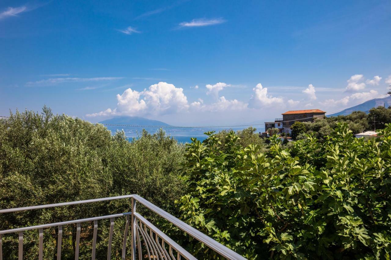 Chez Carme' Daire Sorrento Dış mekan fotoğraf